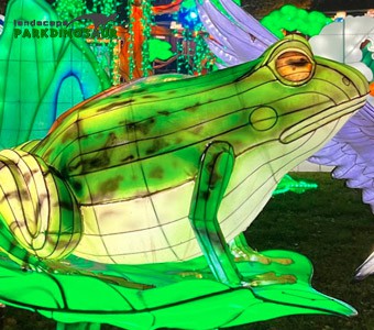 چینی لالٹین گارڈن لائٹس